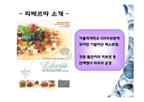 [시장조사론] 리베르따 마케팅 제안서-3