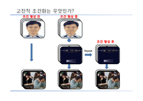 [소비자행동론] 고전적 조건화-4