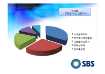 [조직행위론] SBS 조직 분석-14