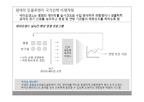 [MIS] 정보시스템과 공중보건 위기 극복-5