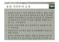 [여행사 경영론] 울산&대구 시티투어 현황과 발전방안-5