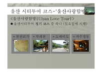 [여행사 경영론] 울산&대구 시티투어 현황과 발전방안-6