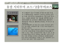 [여행사 경영론] 울산&대구 시티투어 현황과 발전방안-9