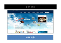 [소비자행동분석] HITE 맥주의 마케팅 문제와 소비자행동 이론을 통한 해결 전략 제안-2
