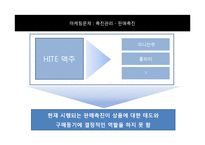 [소비자행동분석] HITE 맥주의 마케팅 문제와 소비자행동 이론을 통한 해결 전략 제안-6