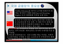 [위험관리] 글로벌 금융 안전망(G20 의 새로운 의제)-15