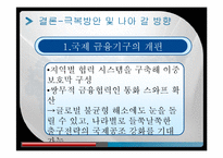 [위험관리] 글로벌 금융 안전망(G20 의 새로운 의제)-17