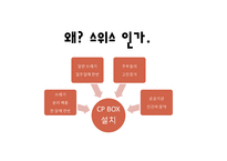 [국제경영] 자동압축 쓰레기통 스위스 진출 전략-17