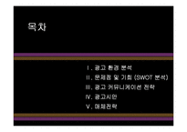[광고기획론] 냉장음료 비락 복분자, 칡즙 광고 기획서-2