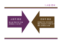 [광고기획론] 냉장음료 비락 복분자, 칡즙 광고 기획서-5