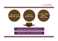 [광고기획론] 냉장음료 비락 복분자, 칡즙 광고 기획서-16