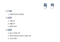 [회계학] SK와 소버린의 격돌 - 기업지배구조의 문제점-2
