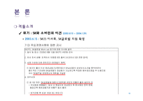 [회계학] SK와 소버린의 격돌 - 기업지배구조의 문제점-20