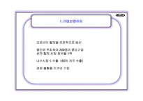 [국제마케팅] HJC홍진 해외진출성공사례-3