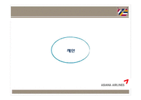 [마케팅원론] 아시아나 항공의 내,외부 상황 분석 및 전략 제안-19