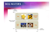 [마케팅 관리론] BCG & GE MATRIX-3