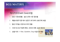 [마케팅 관리론] BCG & GE MATRIX-5