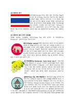 [국제매너] 태국(Thailand)의 문화 및 예절과 에티켓-4