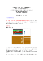 [언론정보학] 2011대구세계육상선수권대회 기획서-7