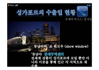 특색있는 세계의 도시 조사-싱가포르, 대전, 요코하마, 앤트워프, 바젤-8
