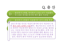 [현대사회 여성] 30대 직장인 여성의 삶-결혼과 직장-19