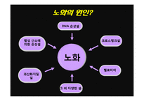 노화(피부노화) 연구와 예방-7