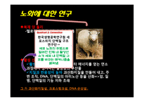 노화(피부노화) 연구와 예방-8