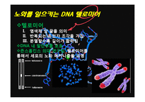 노화(피부노화) 연구와 예방-9