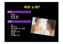 노화(피부노화) 연구와 예방-16