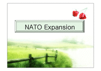 [국제기구론] NATO와 코소보사태, NATO 확장의 장단점 분석-1