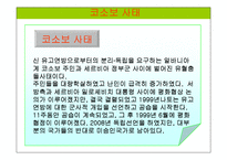 [국제기구론] NATO와 코소보사태, NATO 확장의 장단점 분석-11