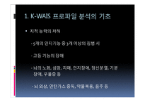 [심리학] 심리검사 적용과 실제-웩슬러 지능검사(K-WAIS 프로파일 분석)-5