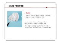 현대인과 영양-두뇌 발달 음식-4