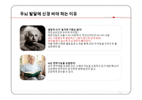 현대인과 영양-두뇌 발달 음식-10