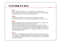 현대인과 영양-두뇌 발달 음식-12