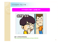 인터넷 사회와 법-사이버 범죄-8