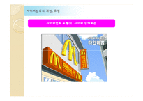 인터넷 사회와 법-사이버 범죄-9