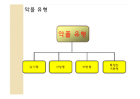 인터넷 사회와 법-사이버 범죄-10