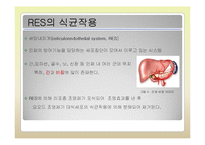 지질의 조성에 따른 요오드를 함유한 CT용 리포좀 조영제의 분해 매커니즘에 관한 연구-8