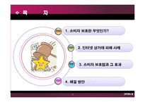 인터넷상거래와 소비자 보호법-2
