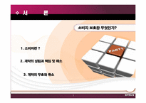 인터넷상거래와 소비자 보호법-3