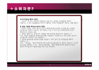 인터넷상거래와 소비자 보호법-5