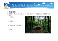 [행정학] 안성시 산림자원의 효율적 이용방안-3