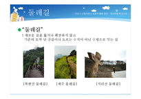 [행정학] 안성시 산림자원의 효율적 이용방안-6