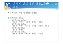 [행정학] 안성시 산림자원의 효율적 이용방안-7