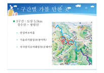 [행정학] 안성시 산림자원의 효율적 이용방안-11
