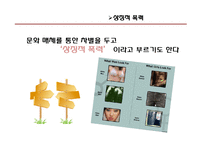 [매스컴의 이해] 영화를 통해 본 인종차별-우리나라와 서양의 인종차별의 차이-11
