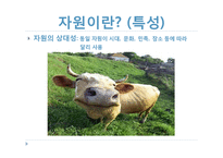 [국제정치학] 국제사회의 자원외교-9