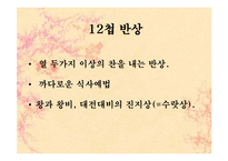 [민속학] 한국의 식생활과 향토음식-19
