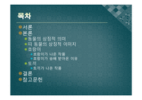 [국문학] 고전문학과 열 두 띠(12지)-2